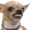 25126
