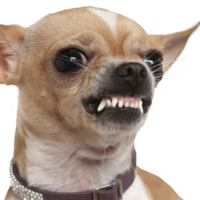 25126