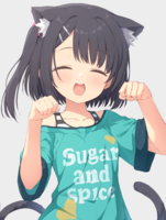 25223
