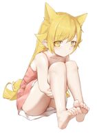 25234